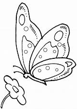 Colouring Butterfly Pages Coloring Embroidery Patterns Para Colorear Choose Printable Drawing Kidspot Au Template Search Google Board sketch template