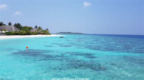 maledivenforum malediven reisebericht kudafushi island resort spa