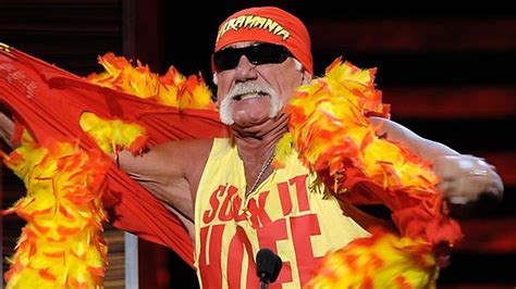 Hulk Hogan Settles Sex Tape Lawsuit With Dj Bubba The Love