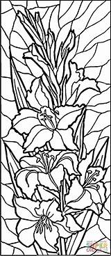 Stained Glass Coloring Pages Lilies Printable Patterns Painting Window Color Flowers Glas Flower Online Easy Colouring Super Sheets Designs Lily sketch template