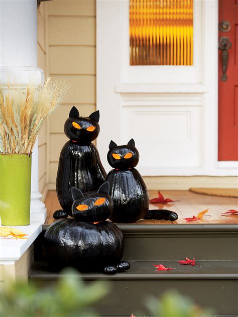 make black cat pumpkins sunset magazine