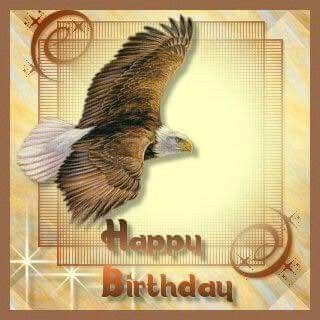 pin  tammy lowe  eagles happy birthday birthday happy
