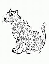 Coloring Leopard Part Print sketch template