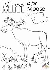 Coloring Moose Letter Pages Printable Drawing sketch template