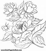 Flower Coloring Pages Drawing Flowers Peony Patterns Outline Color Painting Fabric Book Colouring Adults Drawings Watercolor Hand Visit Colorpagesformom Embroidery sketch template
