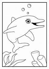 Upjers Dolphin Delfin Ausmalbild Ausmalbilder sketch template