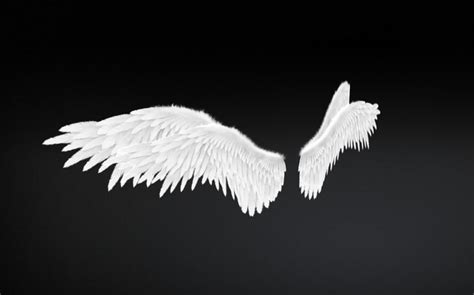 3d model angel wings type 2 level 2 cgtrader
