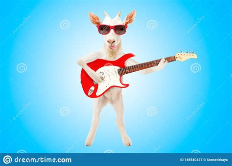 Funny Goat Showing Tongue In Sunglasses With Electric