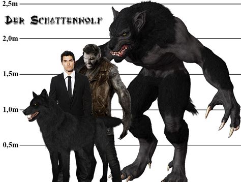 schattenwolf derek hale real alpha werewolf forms shadow wolf anime wolf werewolf art