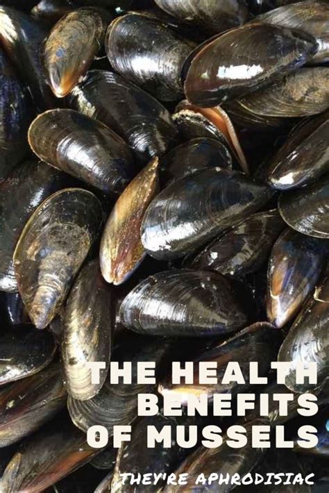 Mussels Benefits And Aphrodisiac Use Eat Something Sexy