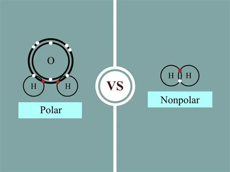 carbon dioxide  polar  nonpolar    answer  nude