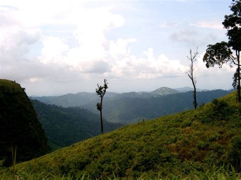 kaeng krachan national park birdforum opus birdforum