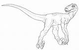 Utahraptor Jurassic Raptor Lineart Utah sketch template