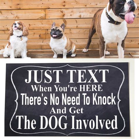dog  text  youre  dogs sign dog signs dog walking quotes funny cat memes