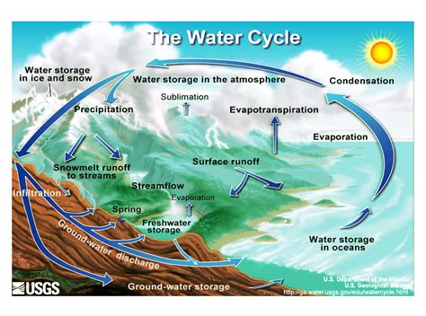water cycle biology geology  eso
