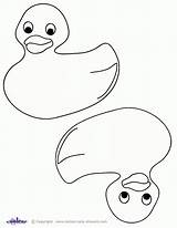 Duck Coloring Rubber Baby Template Printable Color Shower Bath Pages Clipart Ducky Preschool Print Kids Templates Drawing Outline Ducks Crafts sketch template