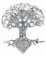 Keltische Baum Picmia sketch template