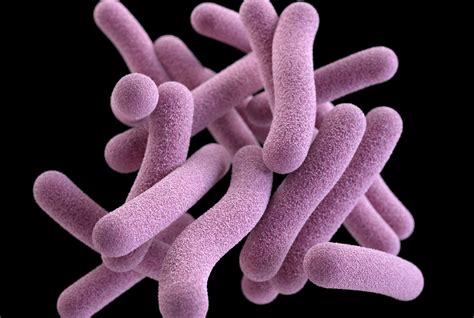 gut microbes altered long  finishing tuberculosis treatment