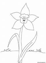 Daffodil Coloring Flower Printable 558d Pages Cute Print Color sketch template