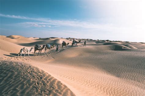 desert de tunisie depuis douz quelle excursion dans le sahara tunisien