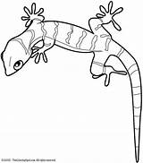 Pages Gecko Lizard Mewarnai Soparla Colorat Cicak Lagartijas Desene Amfibieni Sheets Planse Soparle Lagartija Clipartmag Aboriginal Bestcoloringpagesforkids Educación Menta Animale sketch template
