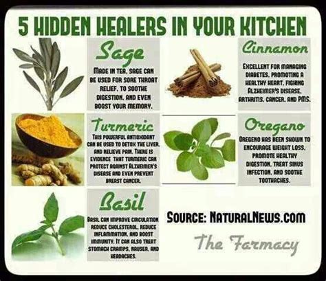 natural healers healing food healing herbs medicinal herbs holistic