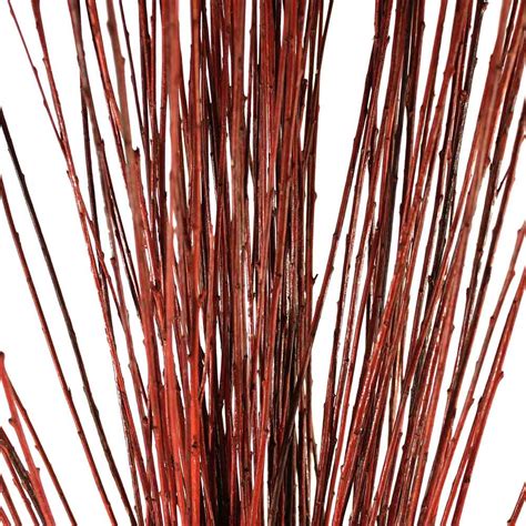 decorative branches straight willow branches brown