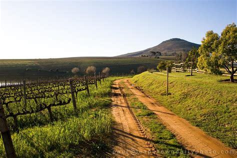 farmlands  wine country cape town daily photo