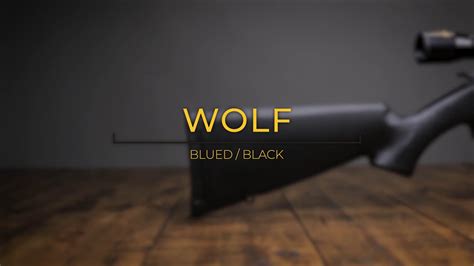 cva wolf muzzleloader overview blued barrel black stock youtube