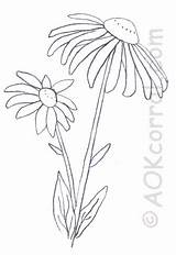 Susan Eyed Flower Pattern Drawings Projects Easy Print Embroidery Aokcorral Hand Silhouette Flowers Choose Board sketch template