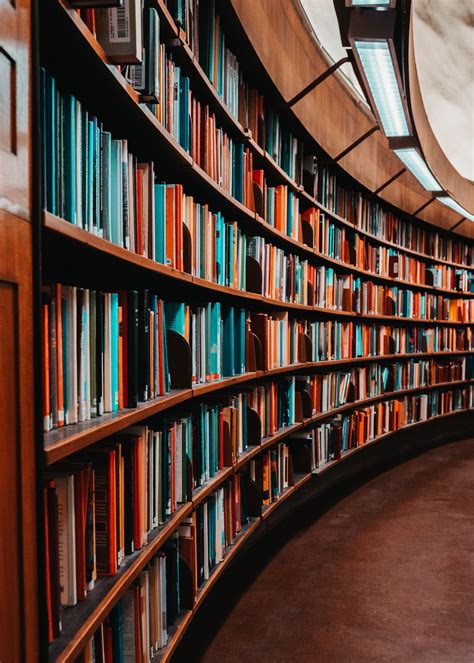 library books pictures   images  unsplash