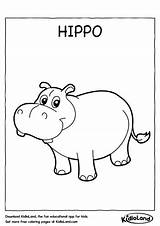 Hippo Coloring Kids Worksheets Printable Pages Hippopotamus Worksheet Kidloland Color Printables Activity Getdrawings Getcolorings Learn Educational sketch template