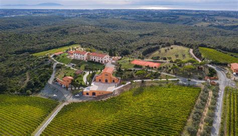 azienda vinicola pakravan papi riparbella toscana pisa