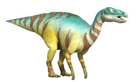 edmontosaurus dinopedia  dino  wiki fandom powered  wikia