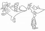 Phineas Ferb Perry Platypus Guitarist Malvorlagen sketch template