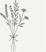 Doodle Botanical Illustration Wildflower Blumenstrauß Ryn Bouquets Pabane Jarbe Zapisano sketch template
