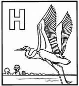 Heron Outline Animalstown sketch template