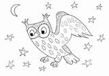 Coloring Night Owl Birds Kids Pages Print Animals Color Starry Animal Printable Justcolor sketch template