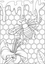 Abeille Coloriage Miel Colorare Mariposas Hive Erwachsene Insekten Schmetterlinge Insectos Farfalle Insetti Ruche Mandala Adultos Malbuch Adulti Insectes Butterflies Habitat sketch template
