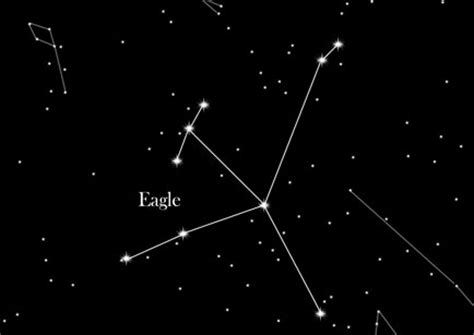 star sign  eagle buy  star blog