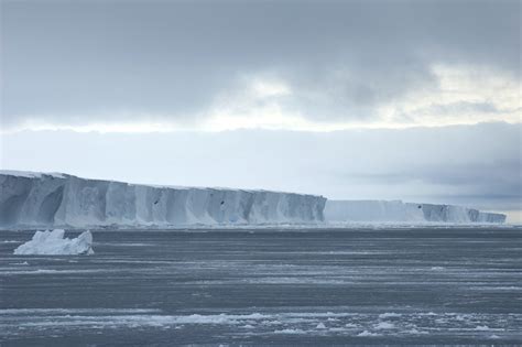 antarctica ice shelves  rapdily melting   speak middle east headlines canada news media