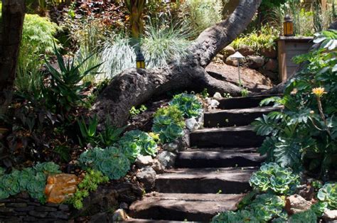 great stairway  borderand  tree hillside landscaping steep