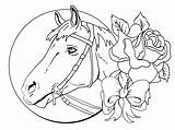 Coloring Pages Horse Adults Hard Kids Print Printable Color Winner Getcolorings sketch template
