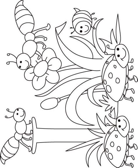 insect coloring pages  preschoolers