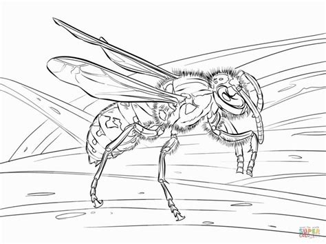 yellow jacket coloring page coloring pages stuffed animal patterns