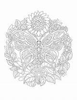 Butterfly Colorit Coloring Pages Nature Colors Grab Choose Board Books Offer Special Colorful sketch template