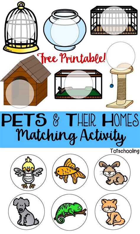 desk pet habitat printable