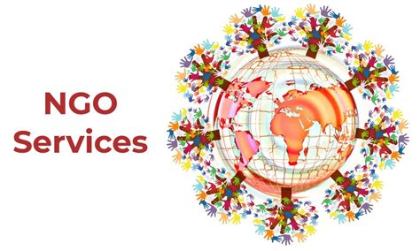 ngo services