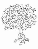 Tree Coloring State Peach Pages Alabama Fruit Oak Trees Drawing Printable Bare Outline Colorings Getdrawings Getcolorings Color sketch template
