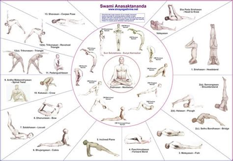 yoga chart beginner yoga poses chart yoga chart hatha yoga asanas